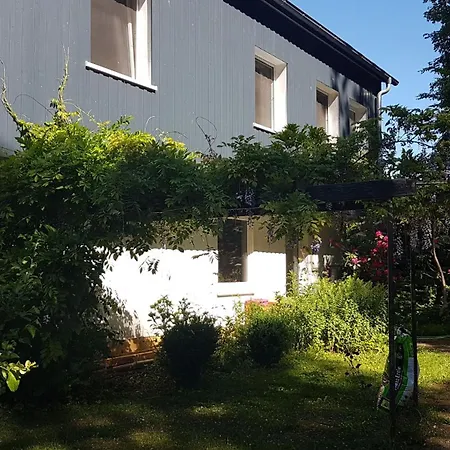 Ruhige Ferienwohnung „Suedhang“ Direkt Am Wald Bad Arolsen Exterior photo